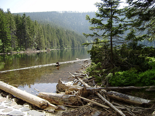 Черное Озеро (Черно Езеро)